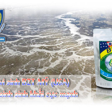 vi sinh bzt usa sinh học tôm vàng