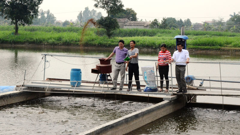 nuôi cá trên sông trong ao