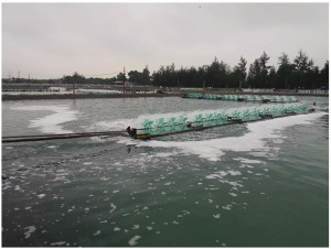 Cung cấp Vitamin cho tôm. Tăng đề kháng, miễn dịch. Giải độc gan, bổ gan, phòng chống đục thân, teo gan tụy. Cấp cứu tôm nổi đầu. Chống sốc cho tôm khi môi trường thay đổi. Nâng cao tỷ lệ sống khi thả giống và vận chuyển giống.