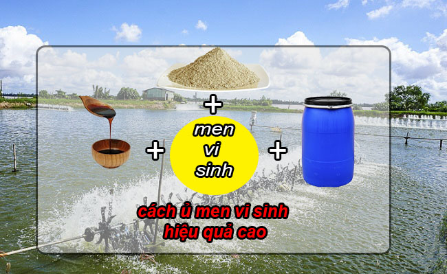 cách ủ men vi sinh