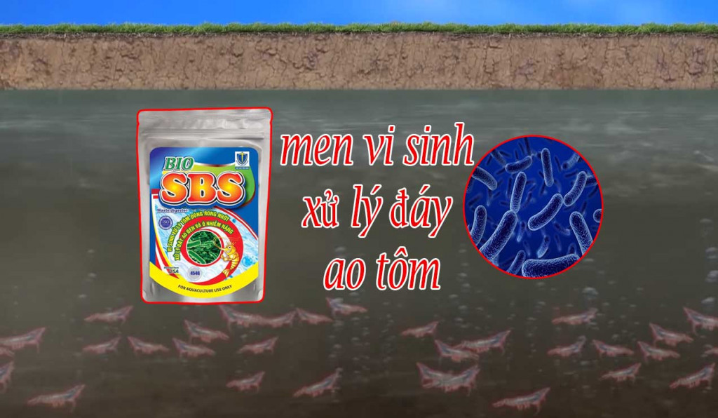 men vi sinh xu ly day