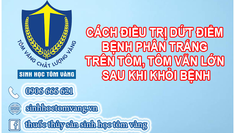 cách trị phân trắng trên tôm