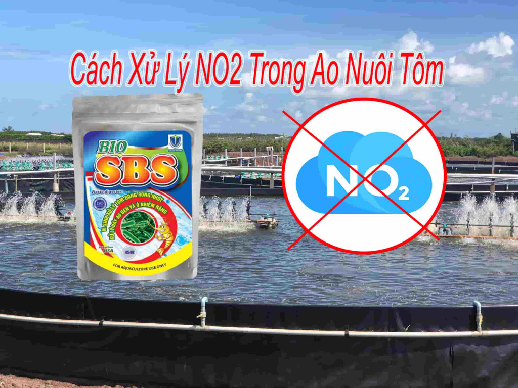 cách xử lý no2 trong ao nuoi tom