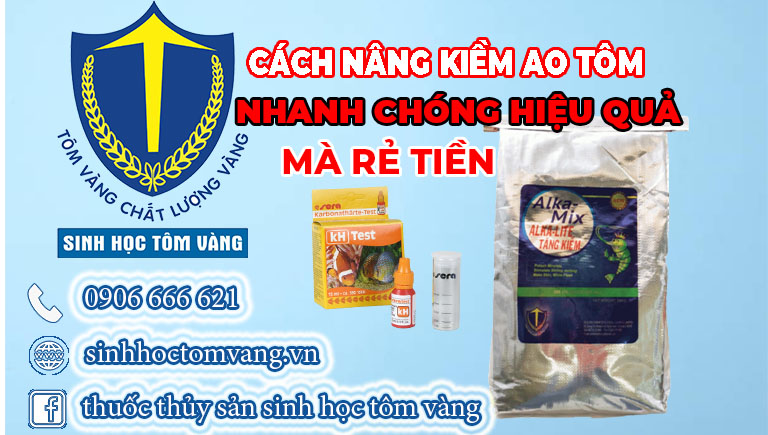 cách tăng độ kiềm trong ao nuôi tôm
