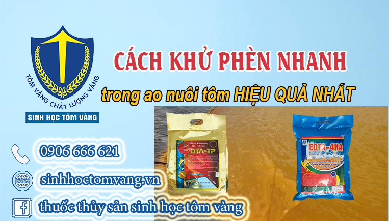 CÁCH KHỬ PHÈN TRONG AO NUÔI TÔM