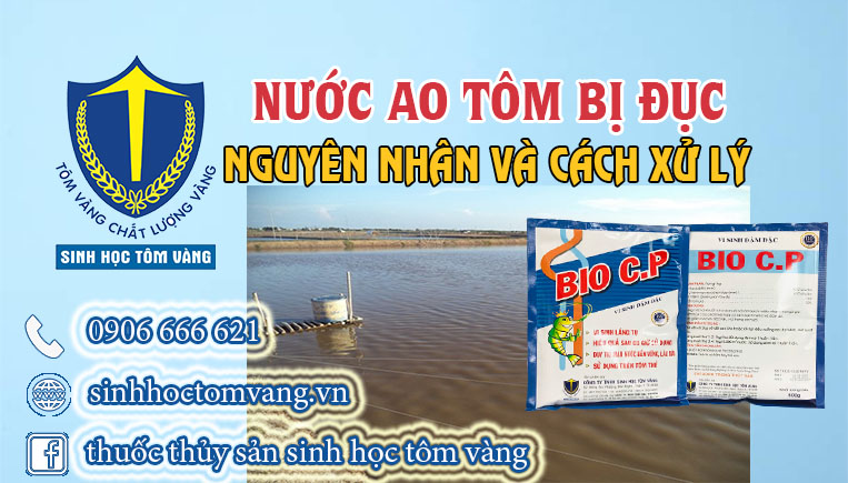 cách xử lý nước đục trong ao tôm