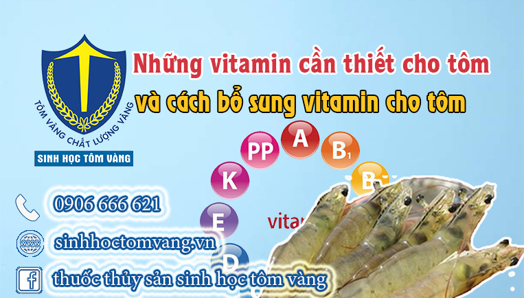 vitamin cho tôm