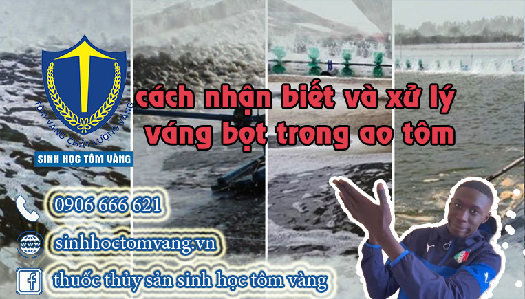 váng bọt ao tôm