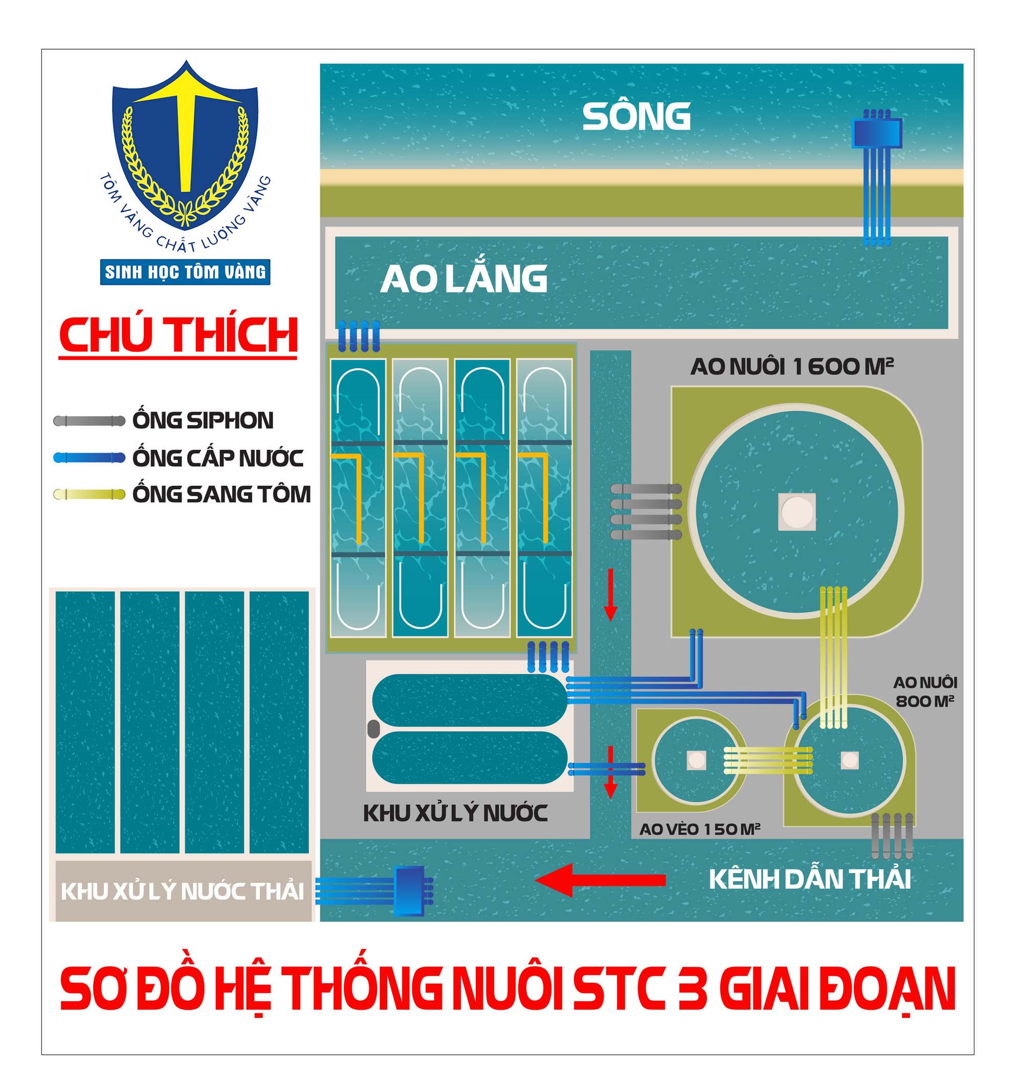 MÔ HÌNH NUÔI TÔM 3 GIAI ĐOẠN