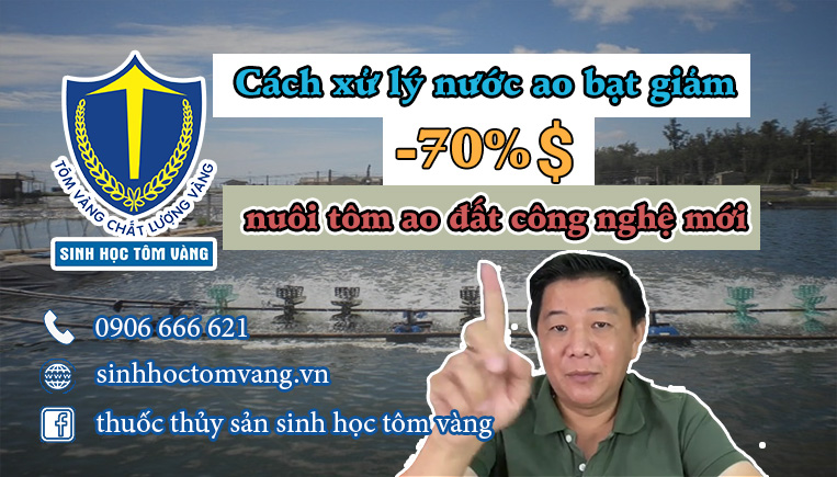 xử lý nước ao tôm