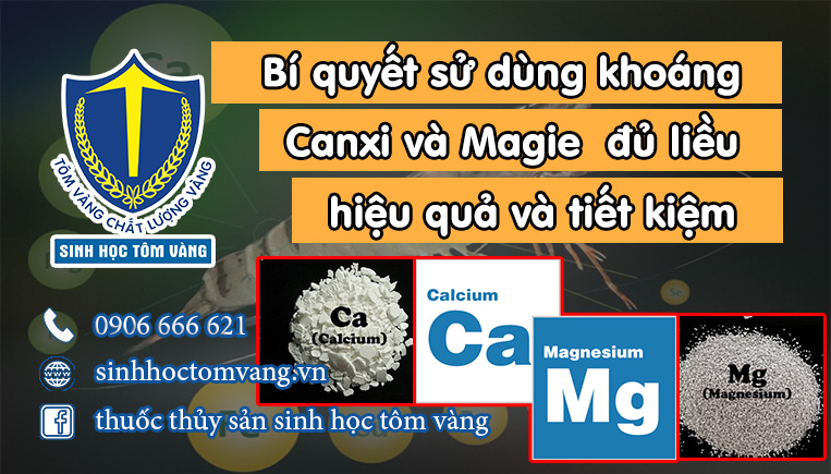 khoáng ca và mg