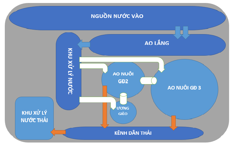 vận hành nuôi tôm 3 giai đoạn