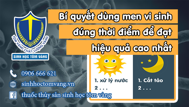 men vi sinh