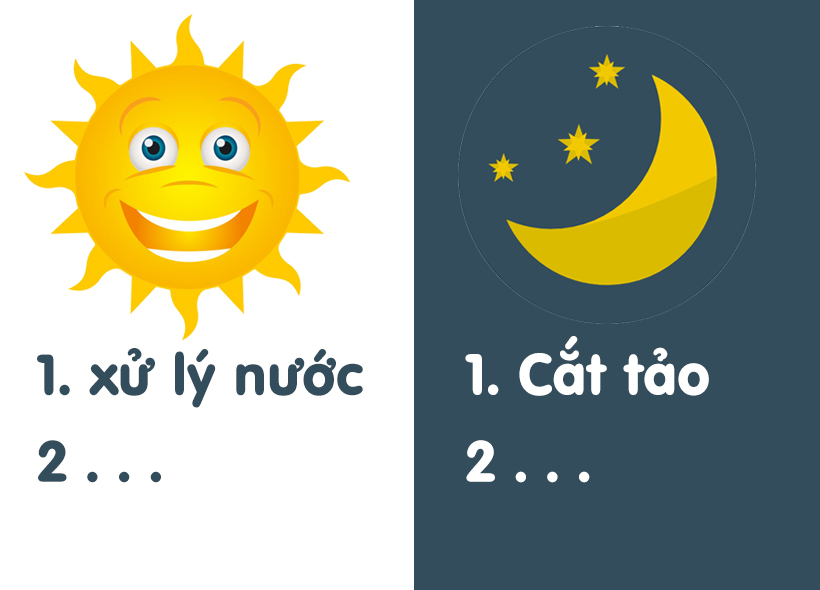 ý nghĩa dùng men vi sinh theo từng thời điểm trong ngày