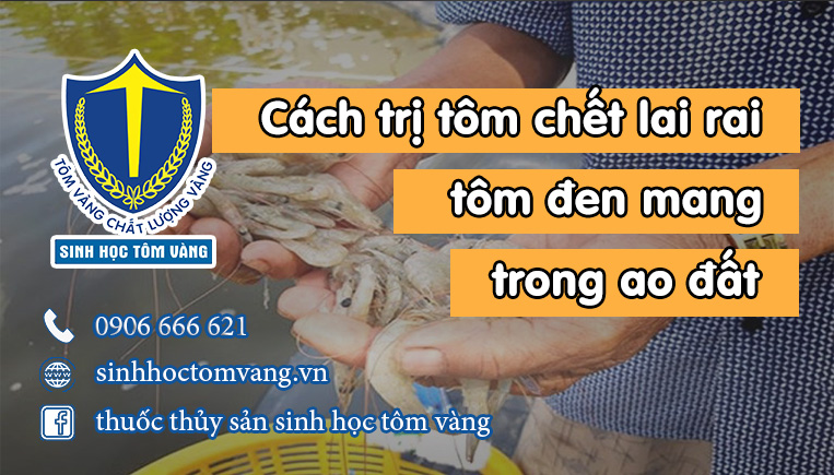 tôm chết lai rai