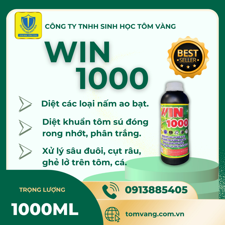 Nấm đồng tiền ao tôm